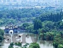 ds足球比分-DS足球比分，足球迷的实时数据宝库，解锁观赛新体验