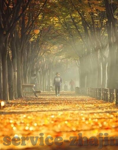 九游阴阳师下载安卓-九游阴阳师，安卓平台下载指南及游戏体验